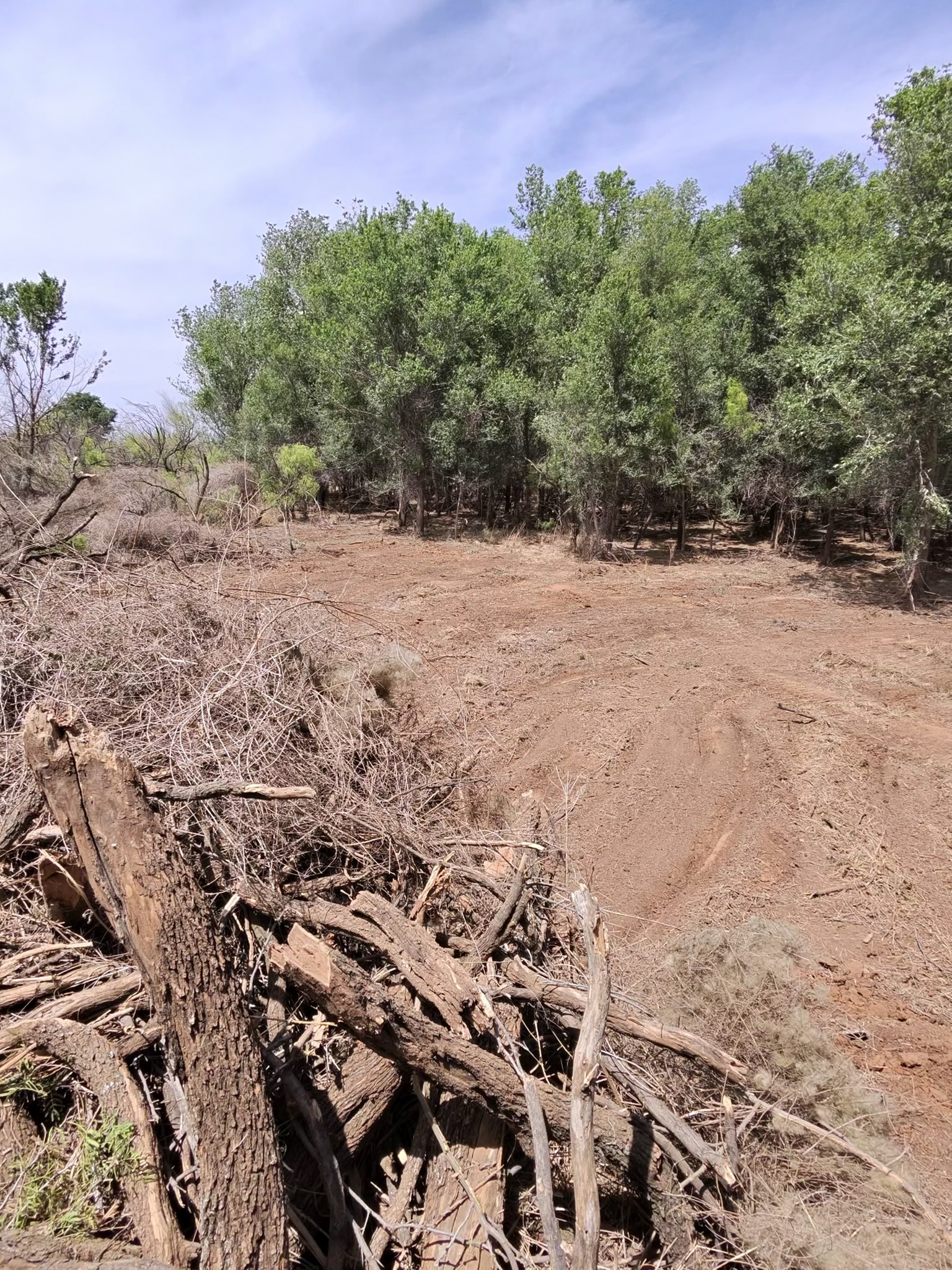 Cleared path through brush and dirt